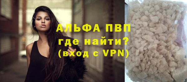 сатива Арсеньев
