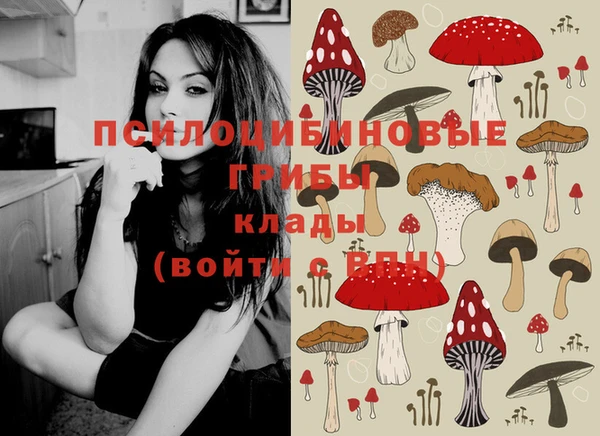 PSILOCYBIN Аркадак