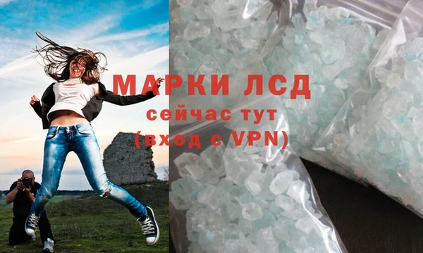 PSILOCYBIN Аркадак