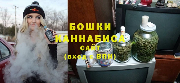 сатива Арсеньев