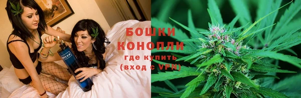 сатива Арсеньев
