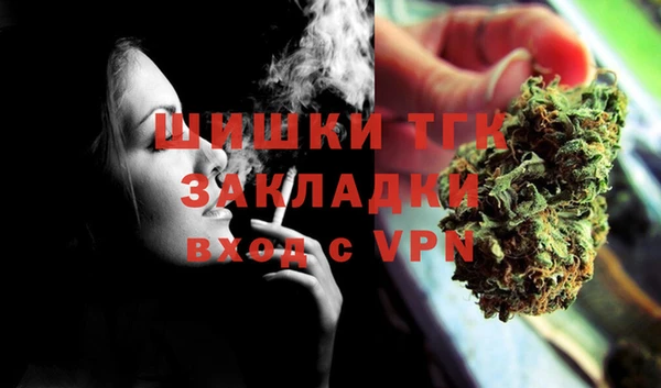 сатива Арсеньев